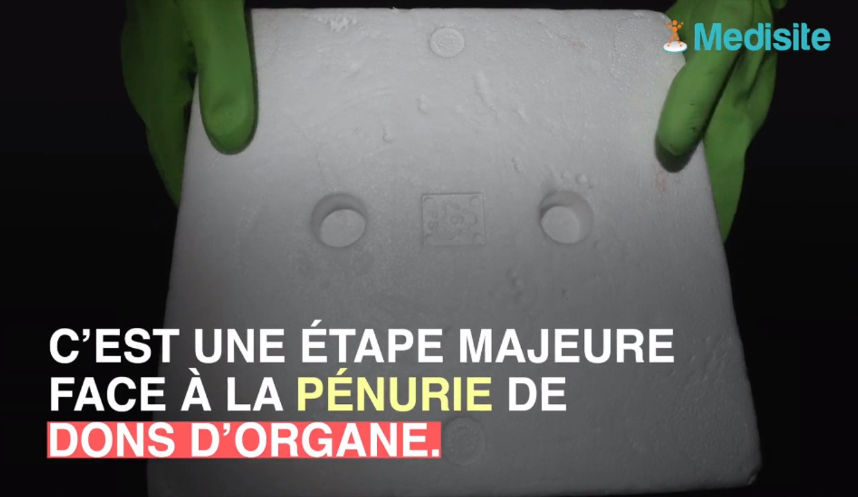 Don d'organe : des médecins raniment un cœur mort pour le greffer