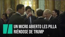 Trudeau, Johnson y Macron hablan sobre Trump en la cumbre de la OTAN