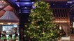 MUST SEE: This Christmas Tree is Worth nearly 16 Million Dollars