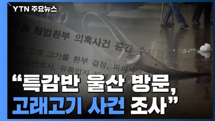靑 "특감반, 김기현 수사와 무관"...'고래고기' 보고서 공개 / YTN