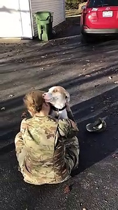 La mamma umana e il suo cane stanno lontani 8 mesi: quando si rivedono la reazione è incredibile