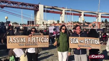 La A. VV. "Fray Hernando de Talavera" ha ofrecido a Greta Thunberg un burro para su desplazamiento de Lisboa a Madrid