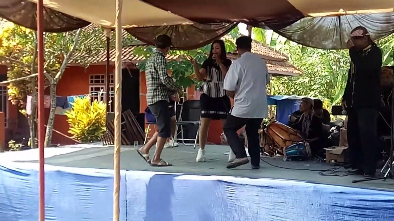 Organ tunggal