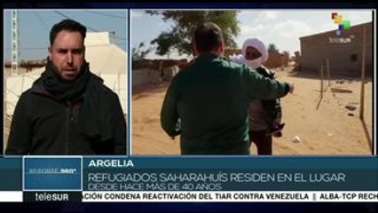 Delegaciones internacionales constatan situación del pueblo saharaui