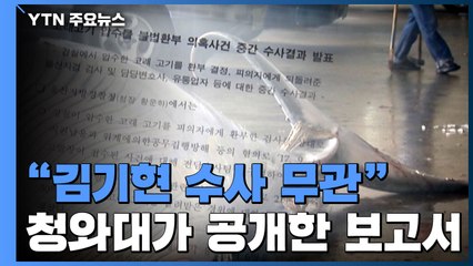 靑 "특감반 울산행, 김기현 수사 무관"...'고래고기' 보고서 공개 / YTN