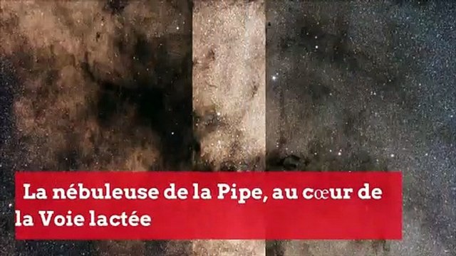 Les actualités Sciences de la semaine 04/12/2019