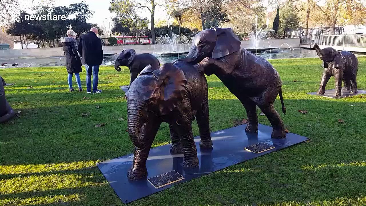 Politicians attend unveiling of 21 life-sized bronze elephants at Marble Arch, London