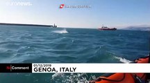 Rare sighting for coastguards as orcas visit Italian coastal waters