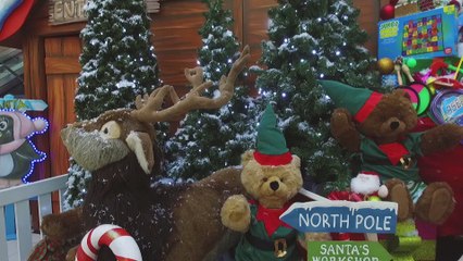 Festive Fun At Wolverhampton Mander Centre!