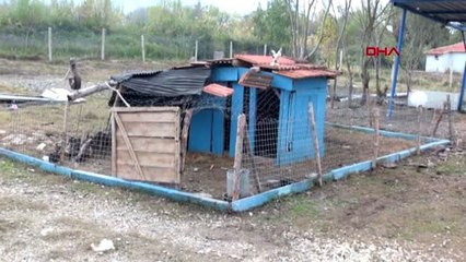 Denizli cinayetten sonra 112 istasyonunda nöbet tutmuş