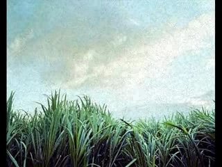 Air / Somewhere Between Waking and Sleeping