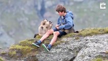 Des marmottes viennent sur les genoux de cet adolescent pour manger !