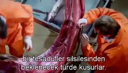 Richard Dawkins Zürafa Otopsisinde Evrimsel Hatayı Gösteriyor