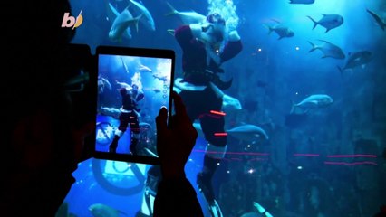 Paris Aquarium Introduces Scuba Diving Santa To Educate Children About Climate Change