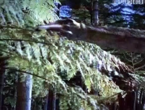 BBC - Horizon - 2003 - The Mystery Of The Jurassic