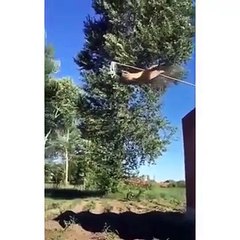 Things You Will See Only Once In A Lifetime