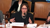 Watch: Impeachment Witness Pamela Karlan Brings Up Trump's Son Barron During Hearing