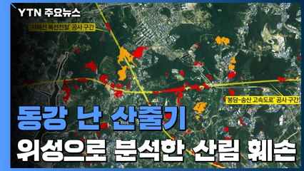 동강 난 산줄기...위성 데이터로 분석한 산림 훼손 / YTN