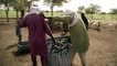 Au Niger, les éleveurs peuls frappés de plein fouet par le changement climatique