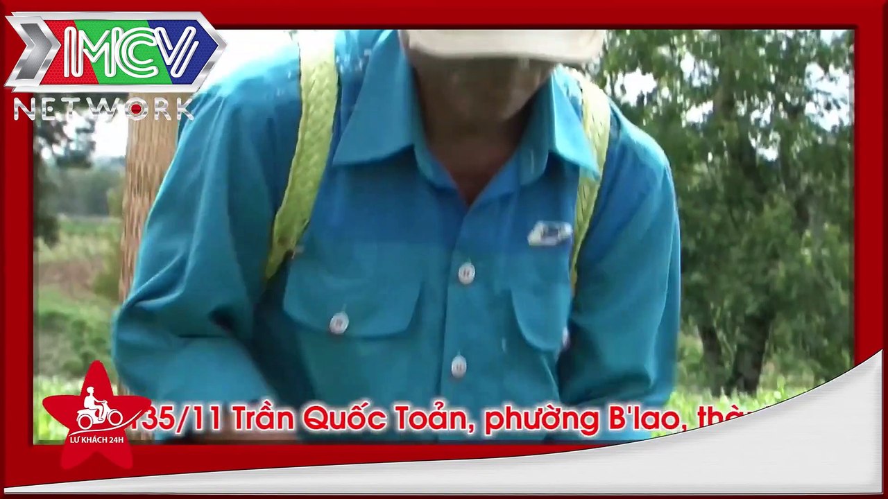 Thánh Livestream Lê Dương Bảo Lâm PHÁ ĐẢO Lữ Khách 24h với sự LẦY LỘI vô đối - LK24