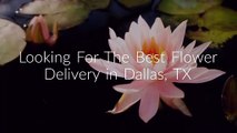 Same Day Flower Delivery Dallas TX - Send Flowers | (469) 518-5559