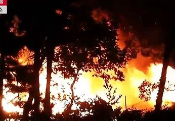 스크린경마사이트 G D S P 2 , CoM ミミ 온라인경마