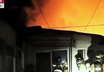 일본경마 G D S P 2 , CoM ミミ 온라인경마