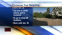 Christmas tree recycling