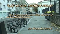 LES W-D.D. MICHOU NEWS - 26 NOVEMBRE 2019 - PAU - EN ALLANT ET REVENANT DE LA MÉDIATHÈQUE