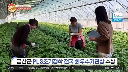 [네트워크 투데이] 금산군 PLS조기정착 전국 최우수기관상 수상