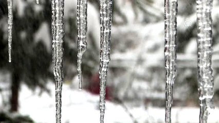 Doğu'da kar yağışı ve soğuk hava