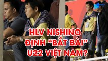 Ban huấn luyện U22 Thái Lan đến theo dõi thầy trò HLV Park Hang Seo đấu U22 Singapore trên khán đài  | NEXT SPORTS