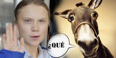 Le ofrecen a Greta Thunberg un burro para viajar desde Lisboa a la Cumbre del Clima en Madrid