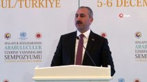 Adalet Bakanı Gül: 'Canilere ceza indirimi yapılması vicdanları yaralamaktadır'