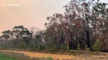 Helicopter refills water at Gospers Mountain bushfire as residents of Colo Heights warned it is too late to leave