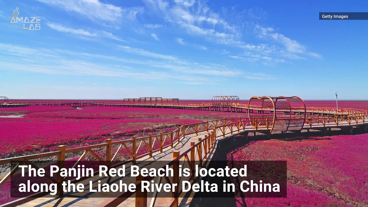 Crimson Beach in China Looks Like it Belongs on an Alien Planet