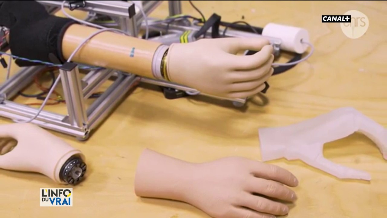 Handicap : où en sont les progrès technologiques ?