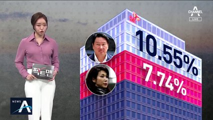 [팩트맨]노소영 ‘재산 분할’, 얼마나 인정될까?