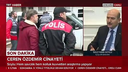 Süleyman Soylu'dan kafa karıştıran 'Ceren Özdemir cinayeti' açıklaması