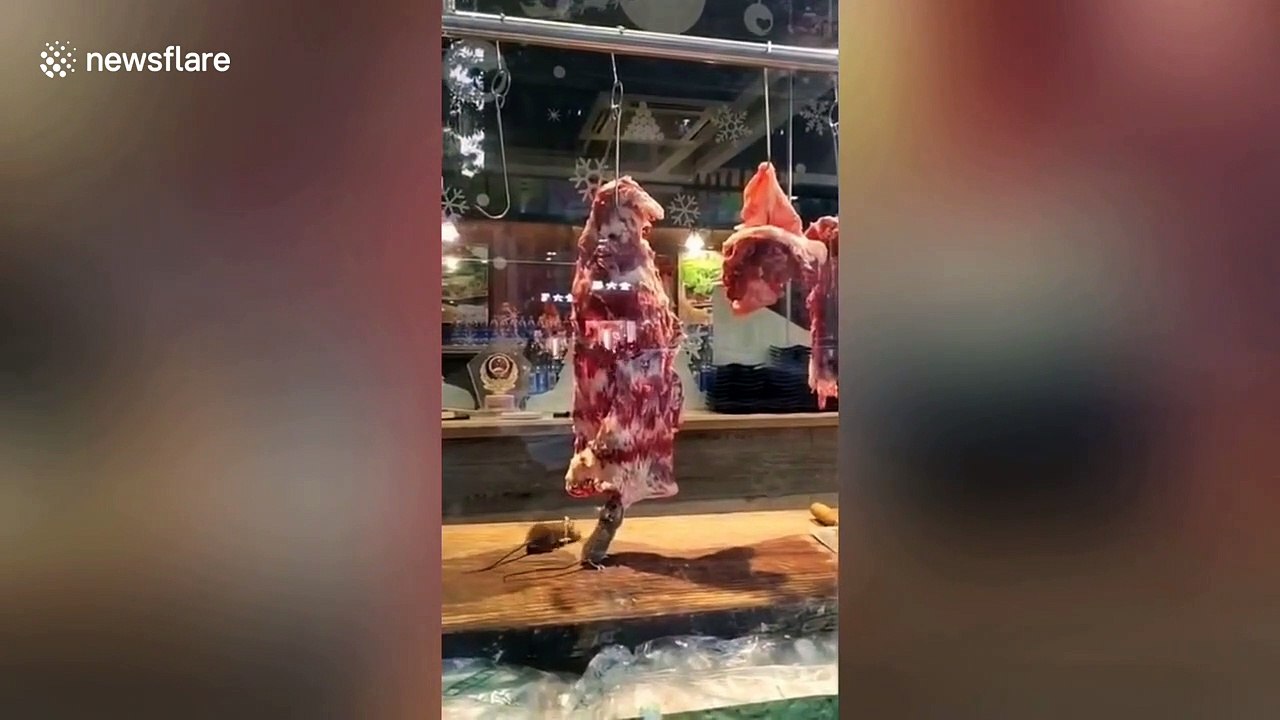 Mice spotted nibbling at beef hanging in Chinese hotpot restaurant