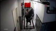 Televizyon hırsızları önce kameraya sora polise yakalandı