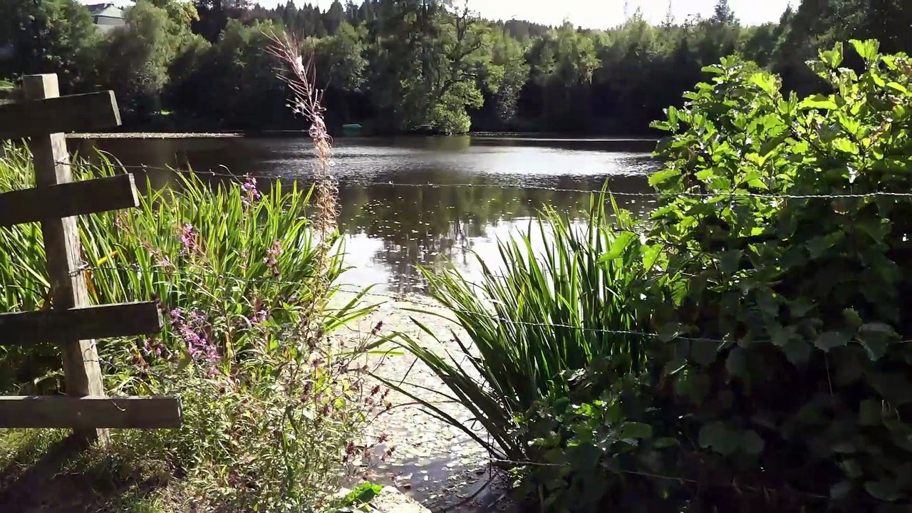Trailer zum Video Vennbahnradweg-Monschau-Mützenich - Weywertz (Belgien)