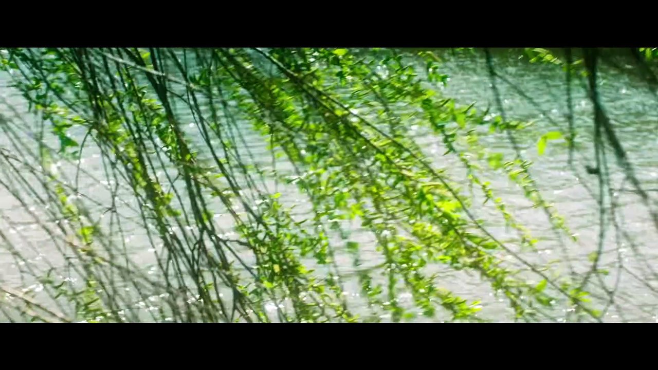 MARIE CURIE ELEMENTE DES LEBENS Film