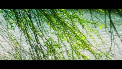 MARIE CURIE ELEMENTE DES LEBENS Film