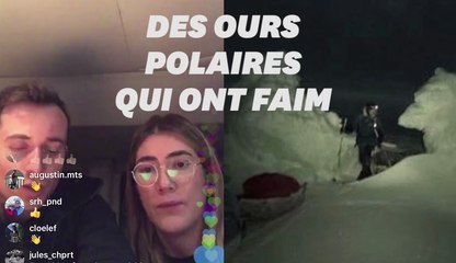 Mike Horn démuni face à des ours polaires "maigres et affamés" au Pôle Nord