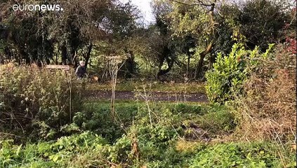 Heves klímavita zajlik Írországban