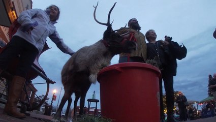 Reindeer comes from North Pole to visit the sweltering South