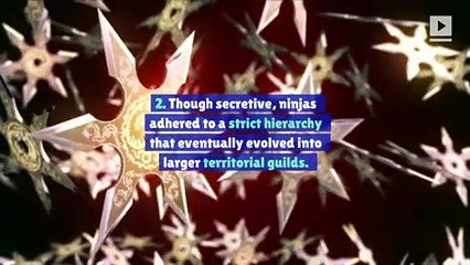 10 Stealthy Facts About Ninjas (International Ninja Day)