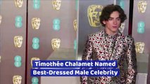 Timothée Chalamet Named Best-Dressed Male Celebrity