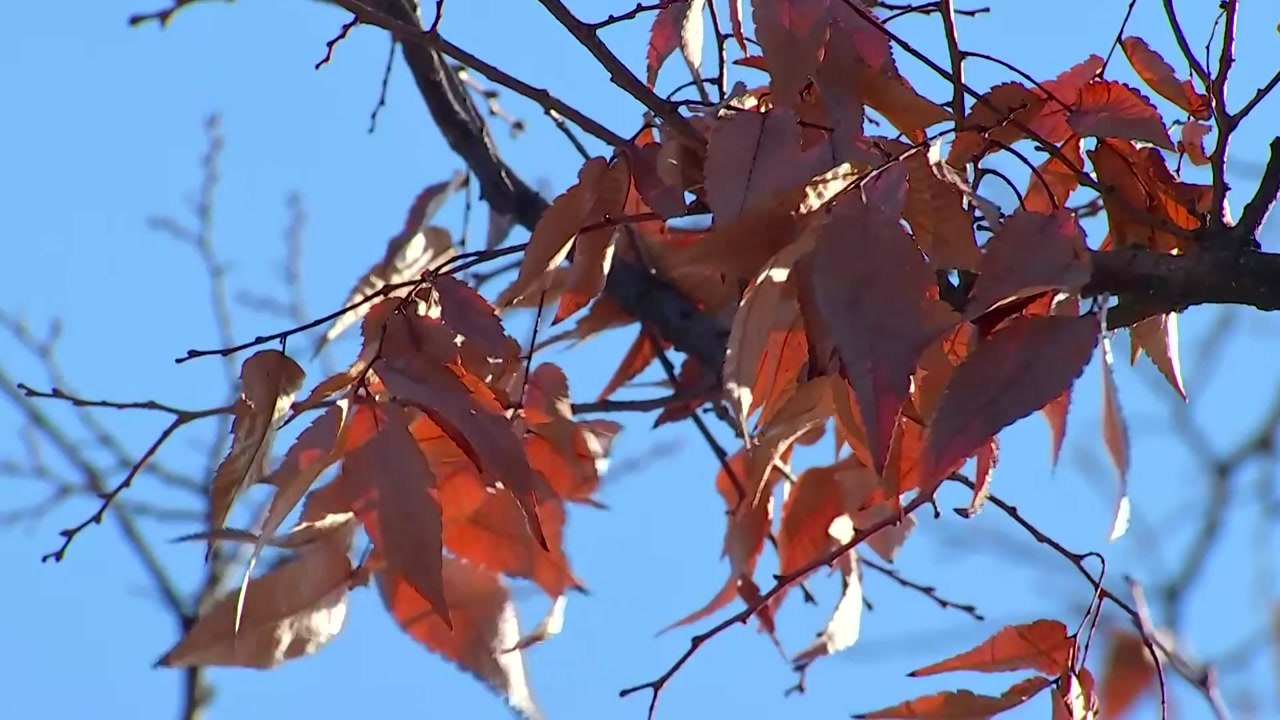 [날씨] 한낮에도 영하권...내일 추위 절정, 서울 -9℃ / YTN